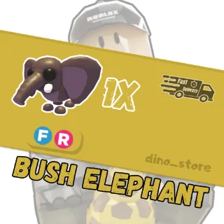 Bush elephant FR - adopt me