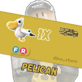  pelican FR  - adopt me