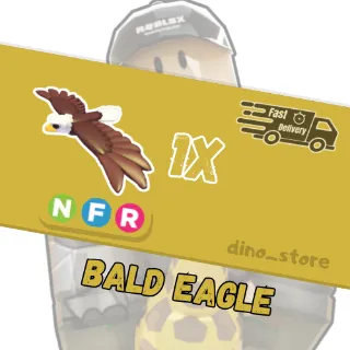 bald eagle NFR - adopt me