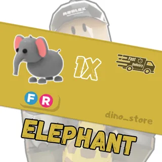 elephant FR - adopt me