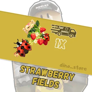 strawberry fields set ( new )