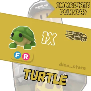 Turtle FR - adopt me