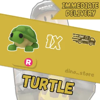 Turtle R - adopt me