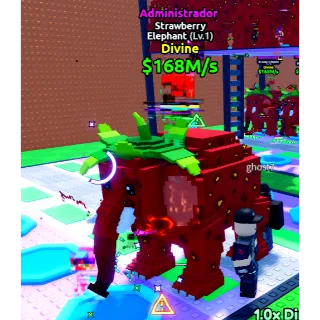 Strawberry elephant admin