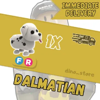 Dalmatian FR - adopt me