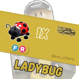 Ladybug FR - adopt me