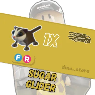 Sugar glider FR - adopt me