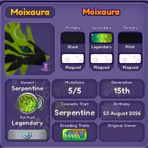 5x10 Moixaura - DA