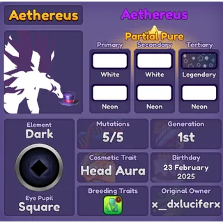 Dragon Adventures Aethereus 