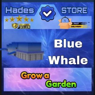 HUGE BLUE WHALE 60KG+