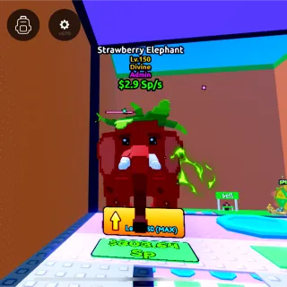 STRAWBERRY ELEPHANT ADMIN | $2.9 Sp/s