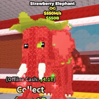 Strawberry Elephant | SAB