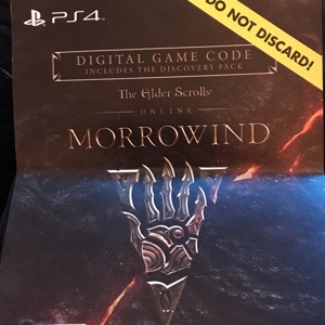 The Elder Scrolls Online: Morrowind (PS4)