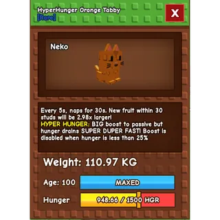 💸 HYPERHUNGER ORANGE TABBY 💸 110.97 KG 💸 ⚡INSTANT DELIVERY| GAG | HUGE ORANGE TABBY 