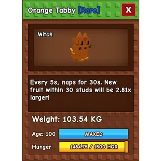 💸 ORANGE TABBY 💸 103.54KG 💸 ⚡INSTANT DELIVERY| GAG | HUGE ORANGE TABBY 