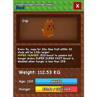 💸 HYPERHUNGER ORANGE TABBY 💸 112.53 KG 💸 ⚡INSTANT DELIVERY| GAG | HUGE ORANGE TABBY 