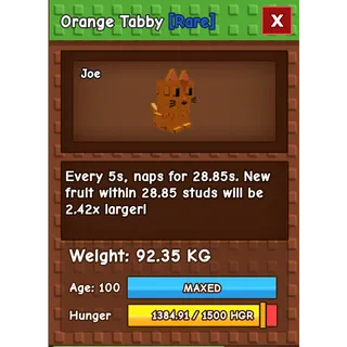 💸 ORANGE TABBY 💸 92.35 KG 💸 ⚡INSTANT DELIVERY| GAG | HUGE ORANGE TABBY 