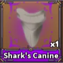 100x Shark Canines