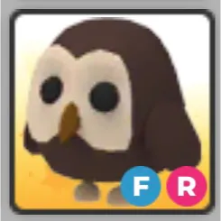 FR OWL