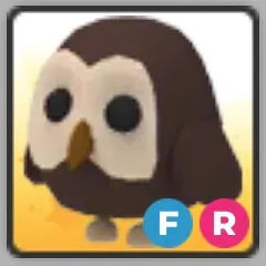 FR OWL