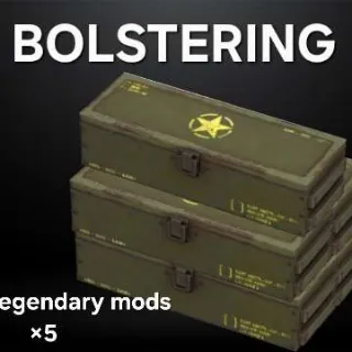 X5 Bolstering Mods