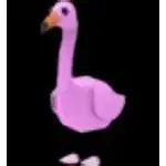 Adopt Me Ride Flamingo