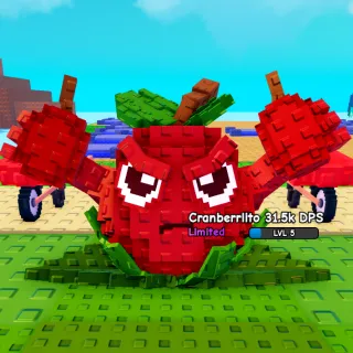 Cranberrlito| Random DPS 1-2kg - Plants Vs Brainrot 