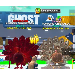 Peacock bundle