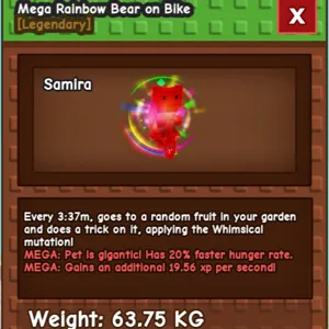 RAINBOW BEAR ON A BIKE