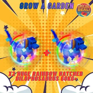 X2 HUGE RAINBOW HATCHED DILOPHOSAURUS 60KG+