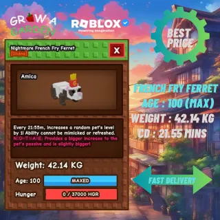 HUGE NIGHTMARE FRENCH FRY FERRET