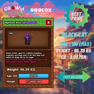 GODLY NIGHTMARE BLACK CAT