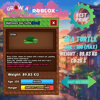 TITANIC NIGHTMARE SEA TURTLE CD 20S