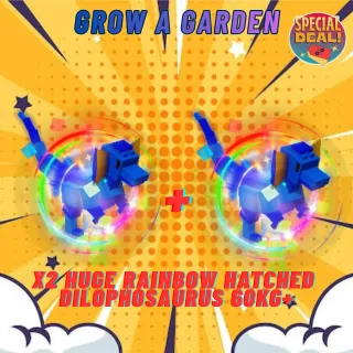 X2 HUGE RAINBOW HATCHED DILOPHOSAURUS 60KG+