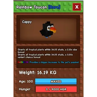 Rainbow toucan