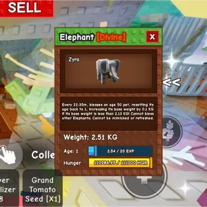 Elephant 25kg if max