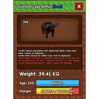 Soulflame cape buffalo (for duplicate) 39kg 