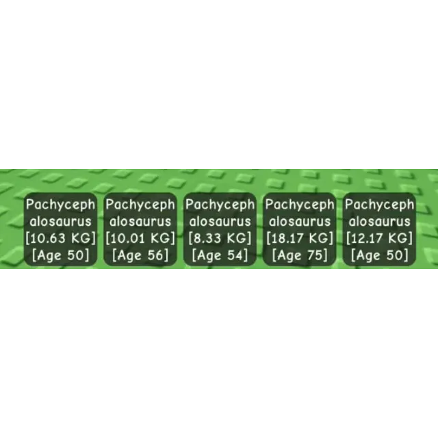 รายการภาพถ่าย