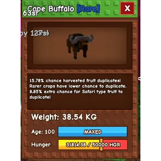 cape buffalo (for duplicate) 38kg 