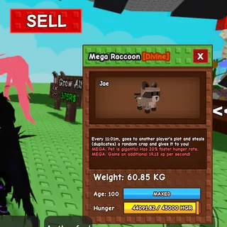 Mega Huge Raccoon 60kg