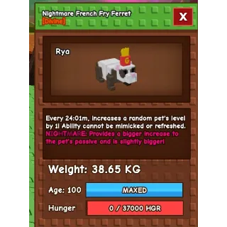 nightmare semi-huge  french fry ferret (max age) 38 kg