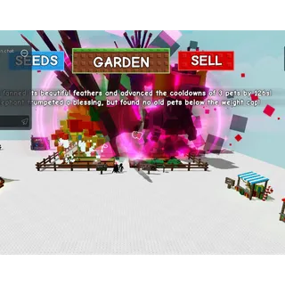 Age boost service 1-100 age  2-3 pets only 