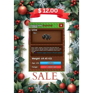 Rainbow Huge Spider (69kg max)