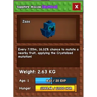 sapphire macaw (2.63 kg base)