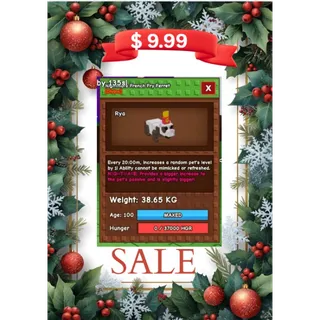 nightmare semi-huge  french fry ferret (max age) 38 kg