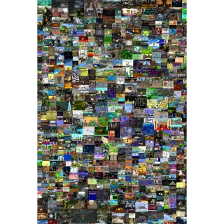 出品写真