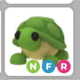NFR Turtle