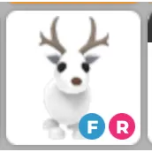 FR Arctic Reindeer