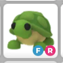FR Turtle