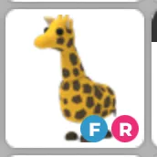 FR Giraffe
